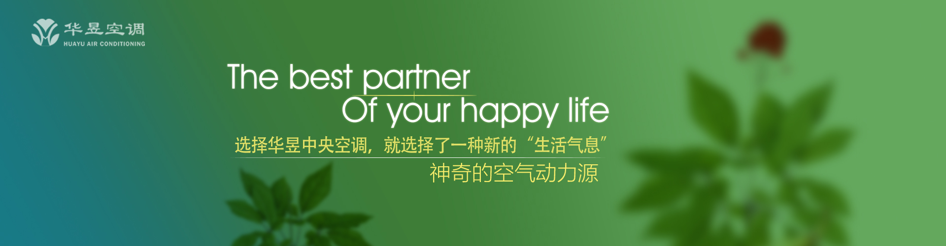 贫病交加网